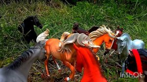2 серия сердца и копыта 🐴🐎