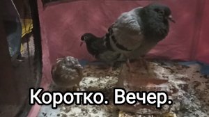 02-08-2026. Коротко. Вечер.