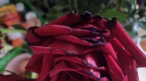 ДАРИТЕ ЖЕНЩИНАМ ЦВЕТЫ🤗🥰💯💕