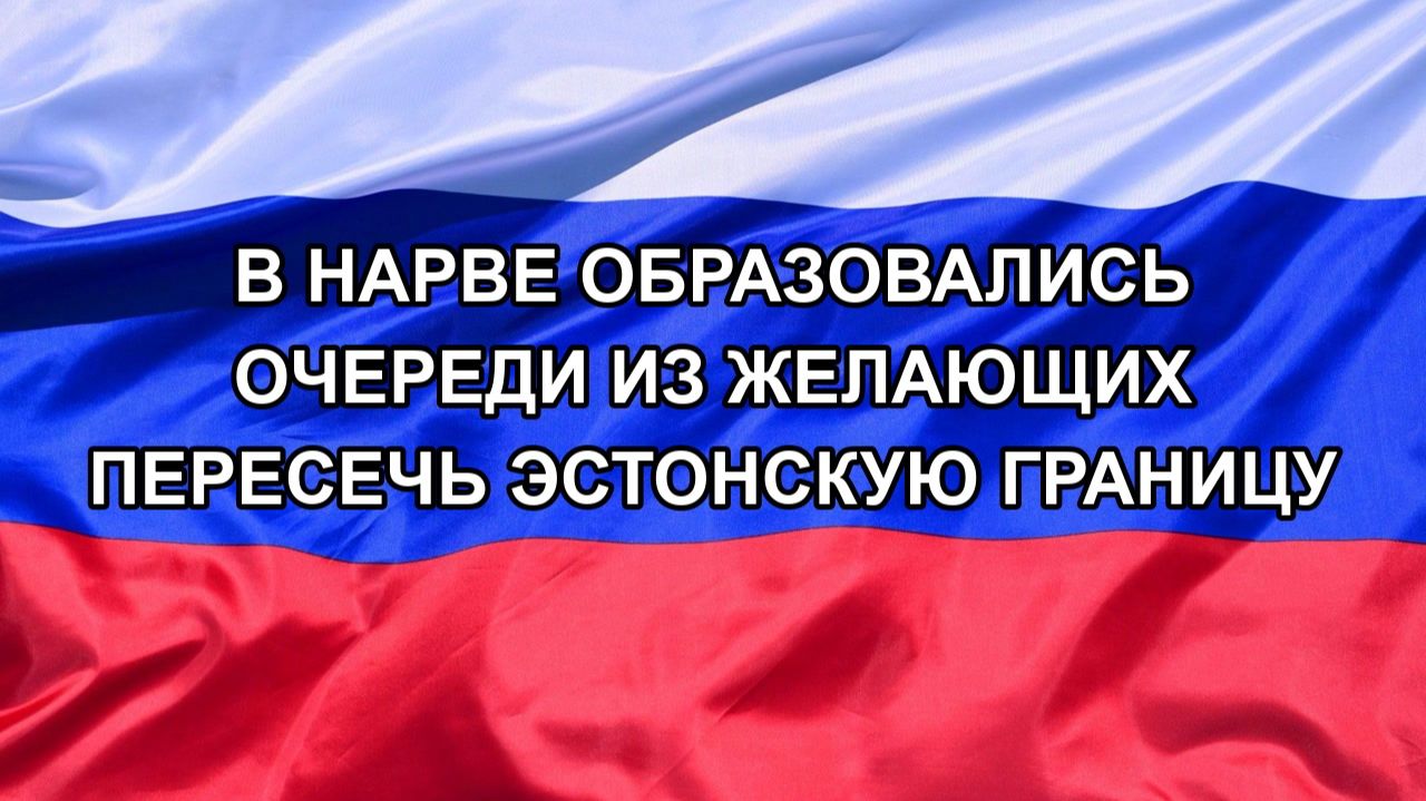 |Н. РФ| В Нарве образовались очереди из желающих пересечь эстонскую границу