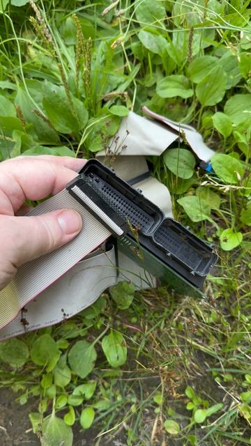 Кабель для 81 пин эбу Бош 7.9.7 я7.2 и других из шлейфа IDE