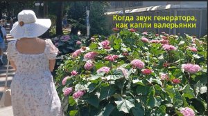 Когда шум генератора, как симфония Баха и капли валерьянки