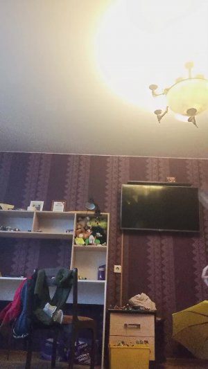 щелд