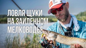 Как найти щуку на заиленном мелководье? Секреты джиг-рига! Lucky John Radiator не подвел!