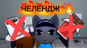 Челендж в animal hospital: без кофе и шоколада
