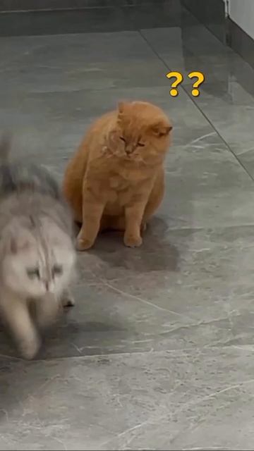 Люблю такие видео
