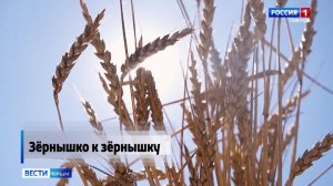 На золотых полях полуострова почти завершена уборка урожая