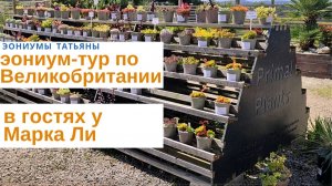 245. Эониум-тур по Великобритании. В гостях у Марка Ли и его Праймал Плантс