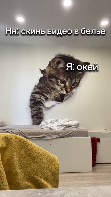 Надеюсь норм