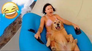 Приколы с животными🤗 Смешные видео про животных 🤗СМЕШНОЕ ВИДЕО😍 Наши любимые смешные животные