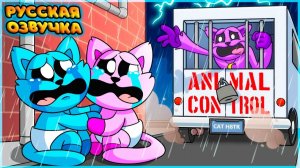 КЭТНАПА СХВАТИЛИ?! - GameToons Анимация | CATNAP is TAKEN?! на русском | fReelaN SHOW