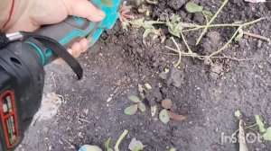 Видио от 29 /07 /2026 /проводили Лену с семьёй /как живут в русской деревне..
