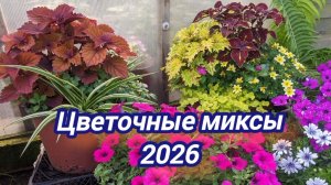 Обзор цветочных миксов на 1 августа.