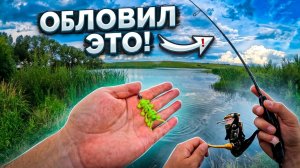 Разловил необычную приманку для микроджига и ультралайта