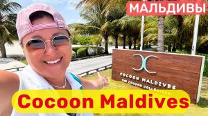 Cocoon Maldives Мальдивы за разумные деньги💰
