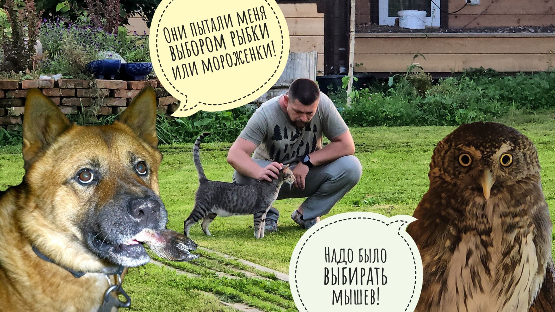 Треугольный кот выпросил прогулку. Пёс Кубик получил стресс, рыбку и мороженку. Нашла еженёнка Злюку
