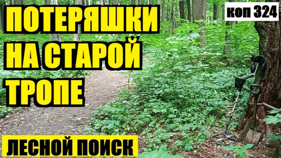 ВЕСЬ ЛЕС ПРОШЕЛ, А ОНИ ВОТ ГДЕ ЛЕЖАЛИ! коп 324