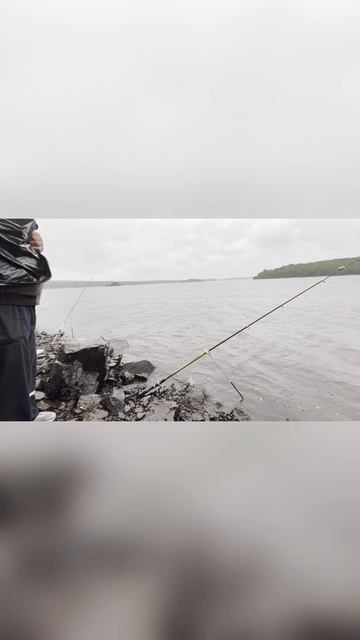 Рыбалка в дождь
