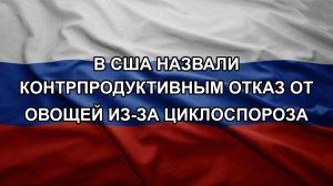 В США назвали контрпродуктивным отказ от овощей из-за циклоспороза