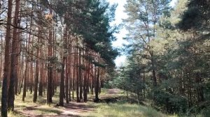 Стоит ли сейчас ехать в Москву за «успешным успехом»?
