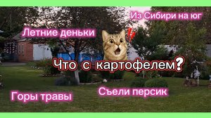 02-08-2026//Переехали на юг//Кубань//Летние деньки//Новый урожай//Подвал, картошка/До ночи в трудах/
