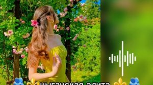 новая  👌👀🫂цыганская песня 👑❤️🩹для настроение Хари Хари ищют  все Морэ ✌😻 Шон лайко 🥱