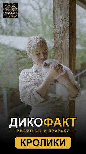 Кролик — вообще не грызун 🐰🤯 #кролики #животные #фактыоживотных
