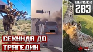 Герои в форме: 6 реальных историй спасения людей и животных полицией [Выпуск 283 август 2026]