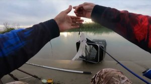 ОСЕННЯЯ РЫБАЛКА на ПОПЛАВОК , на РЕКЕ !!! Бешеный клёв воблы .