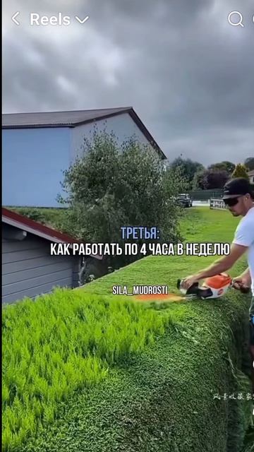 4 книги которые заменят универ