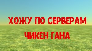 ходу по серверам чикен гана