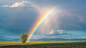 VWMusic - Rainbow dream (видеоклип)