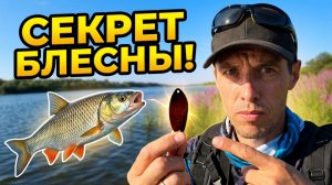 Эту блесну голавль не пропускает! Ловля голавля на спиннинг