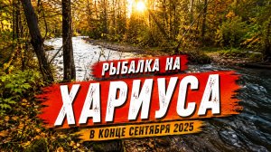 Рыбалка на хариуса в конце сентября 2025. На горной реке Приморского края. #хариус  #горнаярыбалка