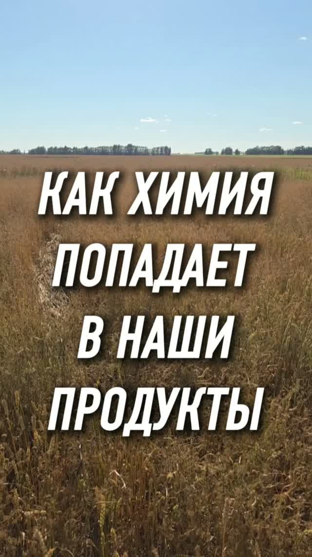 Как химия попадает в наши продукты?  #AUM #YogaFerma #сельскоехозяйство #фермер