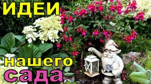 Добавим изюмчика в свой сад! Как сделать сад волшебным и уютным. Идеи нашего сада