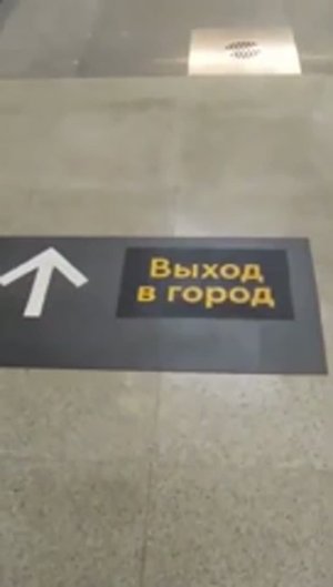 Станция метро Бутырская интерьер, пассажиры, поезд Москва Фрагмент 22