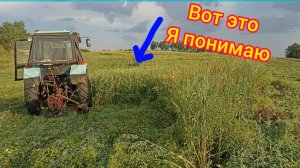 Сенозаготовка продолжается!!!Будем делать сено из овса.Овёс как альтернатива сену.