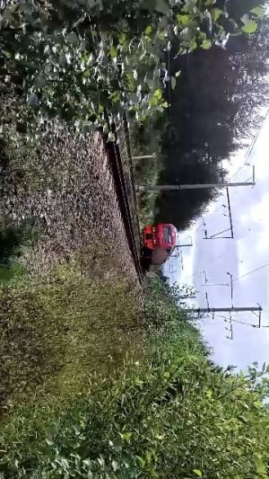 поезд Анапа Мурманск