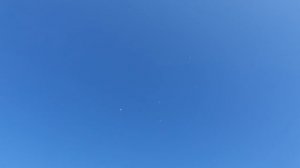 02.08.26 г. Андижанская порода голубей (2)