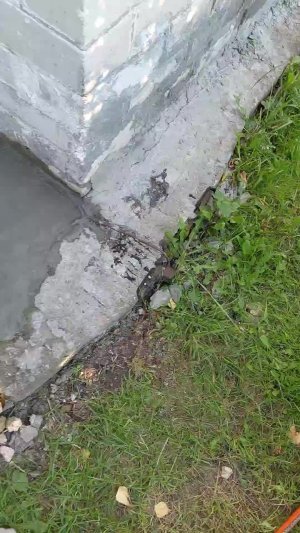 .....