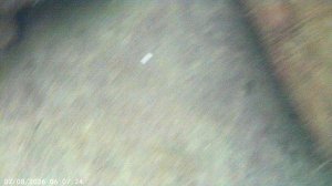 VID00005