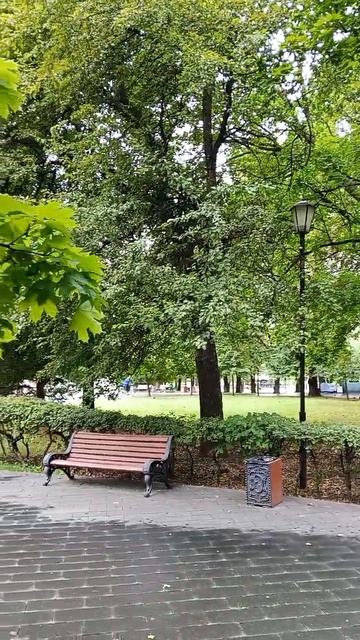 Птица поет в парке,26.6.26