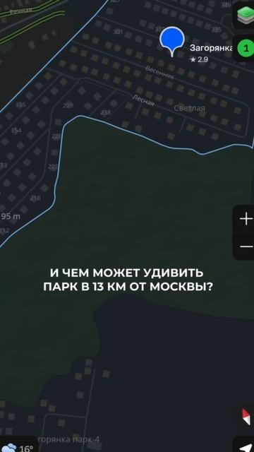 Настоящий самолёт в парке.
#ЗагорянкаЛайф