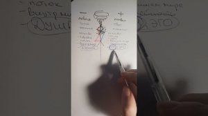 ПРО Мужскую и Женскую части ☯️