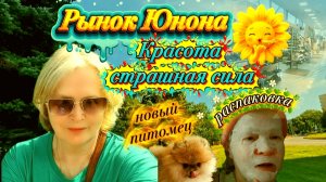 02-08-2026 Рынок Юнона.Новый питомец.Распаковка.