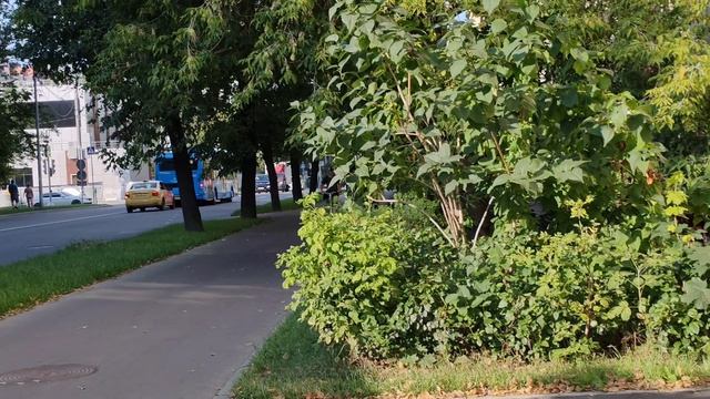 Дневник 02.08.2026год.Маникюр