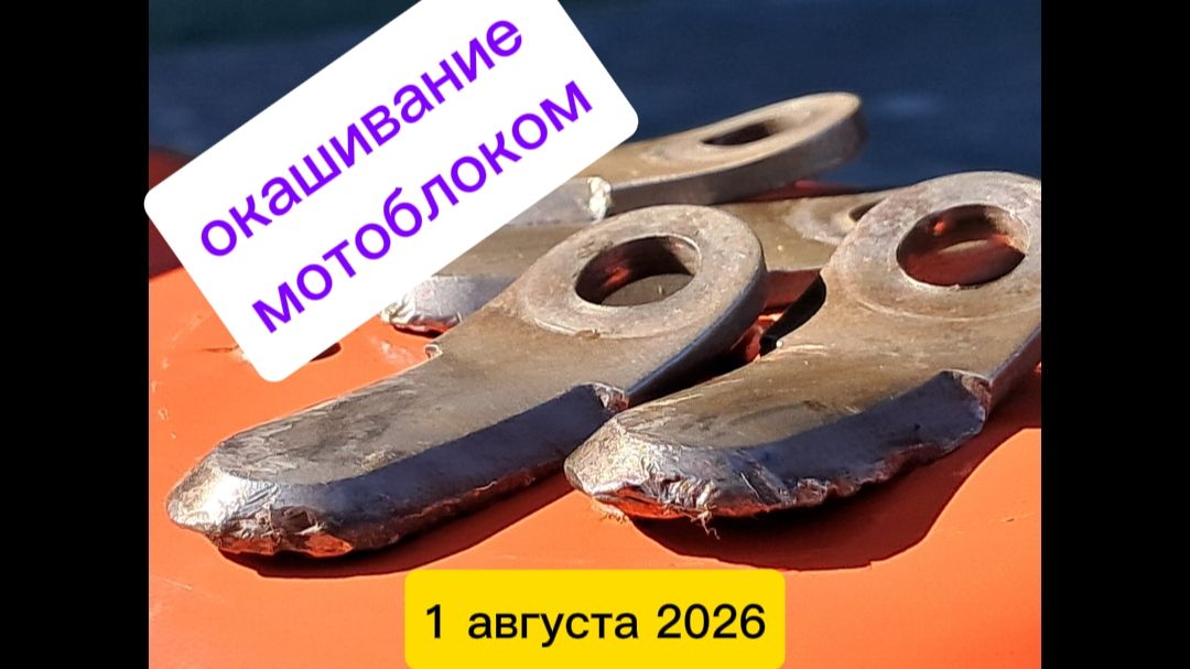 Покосы