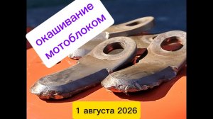 Окашивание мотоблоком, опять ремонт косилки..и не только