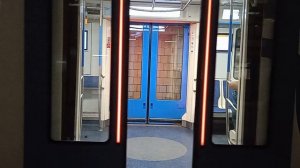 поезда на Сокольнической линии. два тематических поезда!